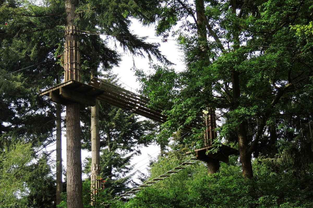 Go-Ape! Tree Top Adventure.