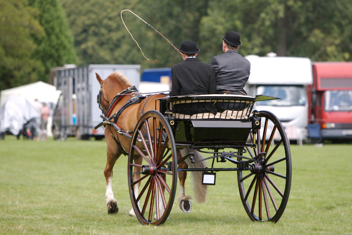 Kent Show Ground.