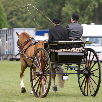 Kent Show Ground